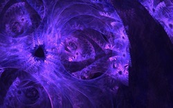 2014 04 26 Evening Plastic 40-black.jpg